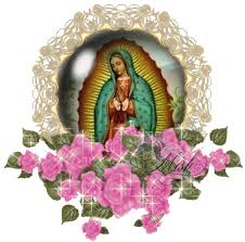Https Encrypted Tbn0 Gstatic Com Images Q Tbn And9gcqzo8jemg Tlh5vbw9zq2balwafjv62bm9o9a Usqp Cau