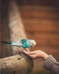 Whatsapp Dp Whatsapp Dp Follow Us Coolwhatsappstatus Profile Picture Images Whatsapp Profile Picture Profile Picture