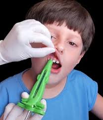 Iphone 15 Hülle Kaufen Rose-Otter Handyhu00fclle Fu00fcr IPhone 11 Pro 5.8  Hu00fclle Leder Wallet Flip Iphone 16 Pro Max