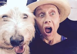 Missing dog found after viral social media campaign backed by Jeremy  Clarkson and Jeremy Corbyn