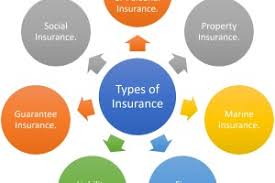 Jump to navigation jump to search. 7 Types Of Insurance