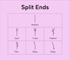 The film is a supervillain origin story set in the unbreakable universe and is the second installment in the trilogy. Types Of Split Ends How To Identify Help What You Have