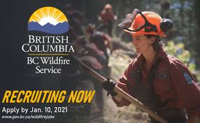 Orman, arazi, doğal kaynak i̇şlemleri ve kırsal kalkınma bakanlığının bir unsurudur. Bc Wildfire Service Recruiting Firefighters For Summer 2021 Bc News Castanet Net