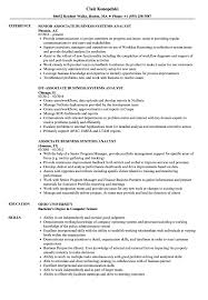 associate business systems analyst