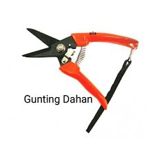 Jual gunting besi, gunting seng, gunting baja, gunting pipa/kabel terbaru & terlengkap di lazada.co.id | voucher diskon bisa cod free ongkir. Gunting Dahan Pokok Bonsai Pruning Shears Shopee Malaysia