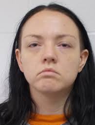 Winchester mother sentenced in neglect, meth case