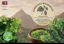 Image result for Momordica cardiospermoides