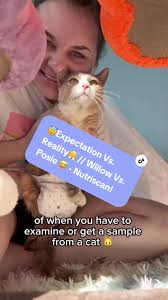 😇Expectation Vs. Reality😤 // Willow Vs. Posie 😅