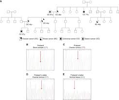 There are different kinds of breast cancer. Characterisation Of The Novel Deleterious Rad51c P Arg312trp Variant And Prioritisation Criteria For Functional Analysis Of Rad51c Missense Changes British Journal Of Cancer