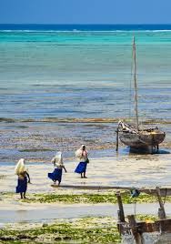 Zen In Zanzibar How To Spend A Perfectly Lazy 3 Days In Nungwi Beach Zanzibar Tanzania Travel Beach Trip