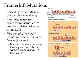 Image Result For Frameshift Insert Deletion Mutation Mutation Amino Acids Nonsense