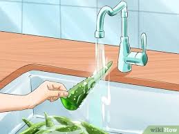 Tackle the bad leaves first. How To Extract Aloe Vera 7 Steps With Pictures Wikihow