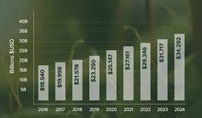 (see portland ge stock analysis on tipranks). Baystreet Ca Psychedelic Stocks Might Take Off In 2021