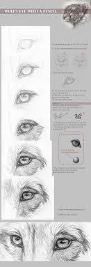 Pin By Arwen Buckle On Drawing Wolf Sketch Wolf Eye Drawing Wolf Eyes