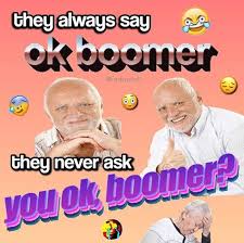44 Ok Boomer Memes For All Your Ok Boomer Needs Stupid Funny Memes Funny Relatable Memes Stupid Memes