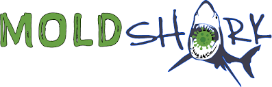 Providing you with a healthier environment for your loved ones is our mission. Mold Inspection Testing Palm Beach Broward County Fl Mold Shark