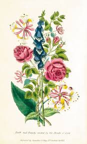 They even play a large role in. Albert R Mann Library The Cryptic Language Of Flowers