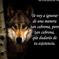 Lobo Frases Buscar Con Google Diario De Un Lobo Solitaria Frases Frases