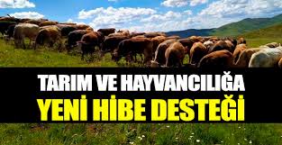 Tarim Ve Hayvanciliga Yeni Hibe Destegi 2020