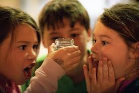Grunion Running with a Beat
