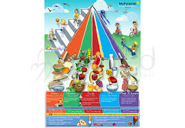 Find the perfect unhealthy lifestyle stock photo. Healthy Lifestyle For Kids Poster English Numed