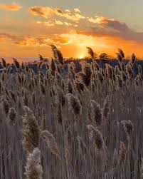 Janet Lynn Hammel-Moritz