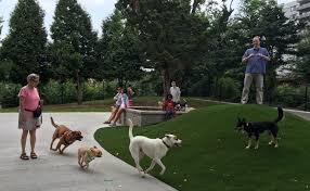 Both locations are open today! Ellsworth Urban Park Dog Park Montgomery Parks Dog Park Design Urban Dog Dog Park