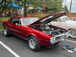 Image result for Copper Blaze 1967 Firebird