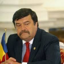 Senatorul PSD Toni Greblă, propus la Curtea Constituţională