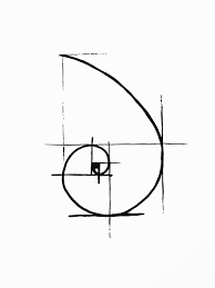 Fibonacci Goldenration Drawing Draw Tattoo Tattooidea Geometrictattoos Fibonacci Tattoo Spiral Tattoos Geometric Tattoo