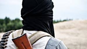 Det er nemlig blevet danmarks opgave at få den afsporede internationale mission mod islamisk stat i irak tilbage på skinner. Trine Bramsen Netavisen Pio