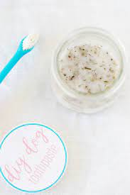 All Natural Diy Dog Toothpaste Simply Being Mommy