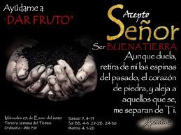 Pin On Lecturas Diarias Catolicas