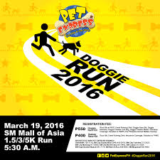 Sadly, i bought into their lies that they sell puppies from reputable private breeders. Pet Express Doggie Run 2016 The Candishhh Tales
