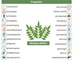 Image result for Moringa