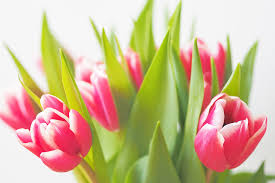 Cheap silk wedding flowers are a realistic alternative to the real thing and you don't have to worry about them drooping in the heat! What Are The Cheapest Flowers For A Wedding Zola Expert Wedding Advice