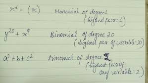 Let $v_m$ be the vector space of polynomials in $kx_1,…,x_n$ with degree at most $m$. Give An Example Of A Polynomial Which Is I Monomial Of Degree 1 Ii Binomial Of Degree 20 Brainly In