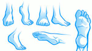 The size and shape of feet can vary based on many factors but the same principles can apply when drawing all feet. Www Dragoart Com Tuts 13343 1 1 How To Draw Anime Feet Draw Feet Htm Animated Drawings Step By Step Drawing Feet Drawing