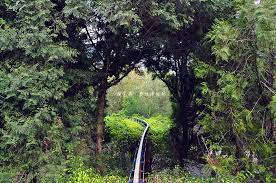 南投國姓 泰雅渡假村 上 泰雅族文化及涼夏賞螢導覽之旅 親子同樂 泡湯 賞花 體驗自然生態的渡假勝地