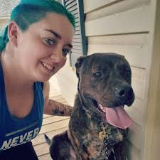 Lost domesticated rabbit in Louisville?