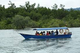 One of the activities that we can do to enjoy the magnificent's nature of unesco global geopark. Nature And Wildlife Tours Uncategorized Langkawi Unesco Geopark Mangrove Cruise