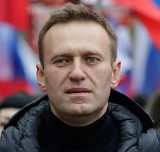 Josie Cotton (@josiecottonofficial) • Instagram photos and videos