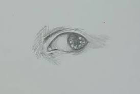 Auge Zeichnen Schritt Fur Schritt Anleitung Fur Meisterhaftes Augen Malen