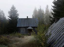 Maybe you would like to learn more about one of these? Abandoned House In The Woods Taken Over By Wild Animals Others