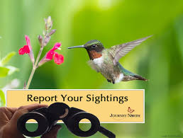 Like bird watching, marvelous and marvellous spatuletail hummingbird, chuparosa, picaflor, colibri and many more. 08 19 2020 Fall Migration Season Is Underway