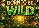 Born to Be Wild