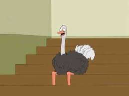 Family Guy Ostrich Laugh Youtube Master bgms master bhavani theme master bhavani bgm master mass bgms anirudh bgms. family guy ostrich laugh
