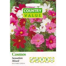 We did not find results for: Country Value Mixed Sensation Cosmos Flower Seeds Bunnings Australia