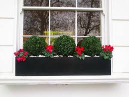 Window Box Formal Window Box Flowers Winter Window Boxes Window Box Plants