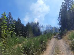 We did not find results for: Multiple Fire Departments Responding To Brush Fire Near Ladysmith